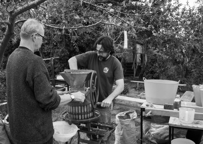 Fruit press being used to make apple juice