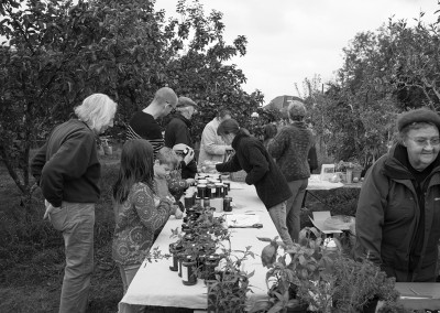 Tables with produce for sale