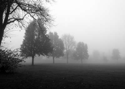 Autumnal foggy day on the common