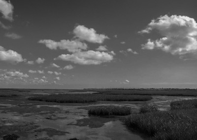 Essex tidal marshland