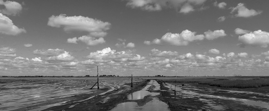 Essex marshland at low tide - Contact page header image