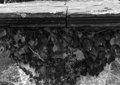 Ivy clad monument at St Marys Church Henbury