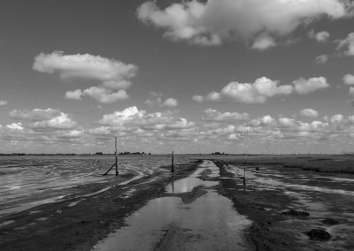 Trackway across Essex marshland looking towards Harwich