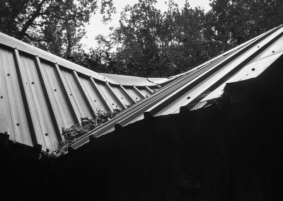 The roof of the strange house in the Wildwood