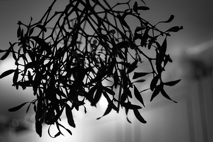 Mistletoe hanging in the hall at Christmas 2015