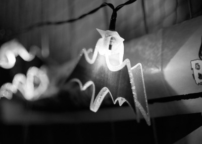 Halloween bat fairylight at Party