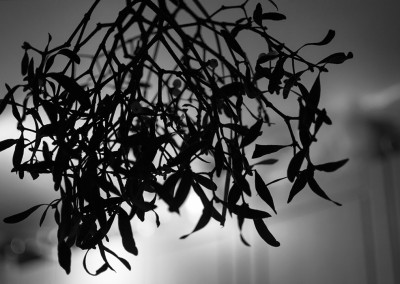 Mistletoe hangingin the hall at Christmas