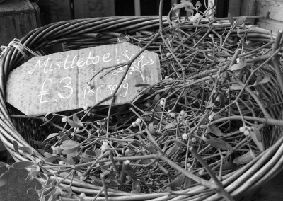 Mistletoe on sale in a basket at christmas