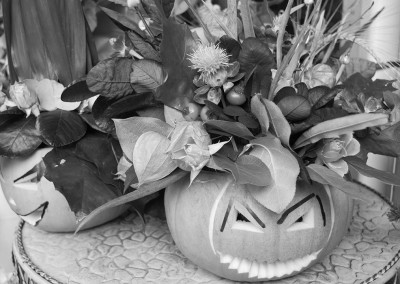 Pumpkins and floral display outside shop on Gloucester Road