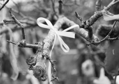 Wassail tree branch with ribbon