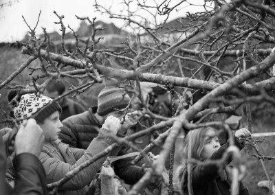 Wassail tree looking for branches to tie ribbons