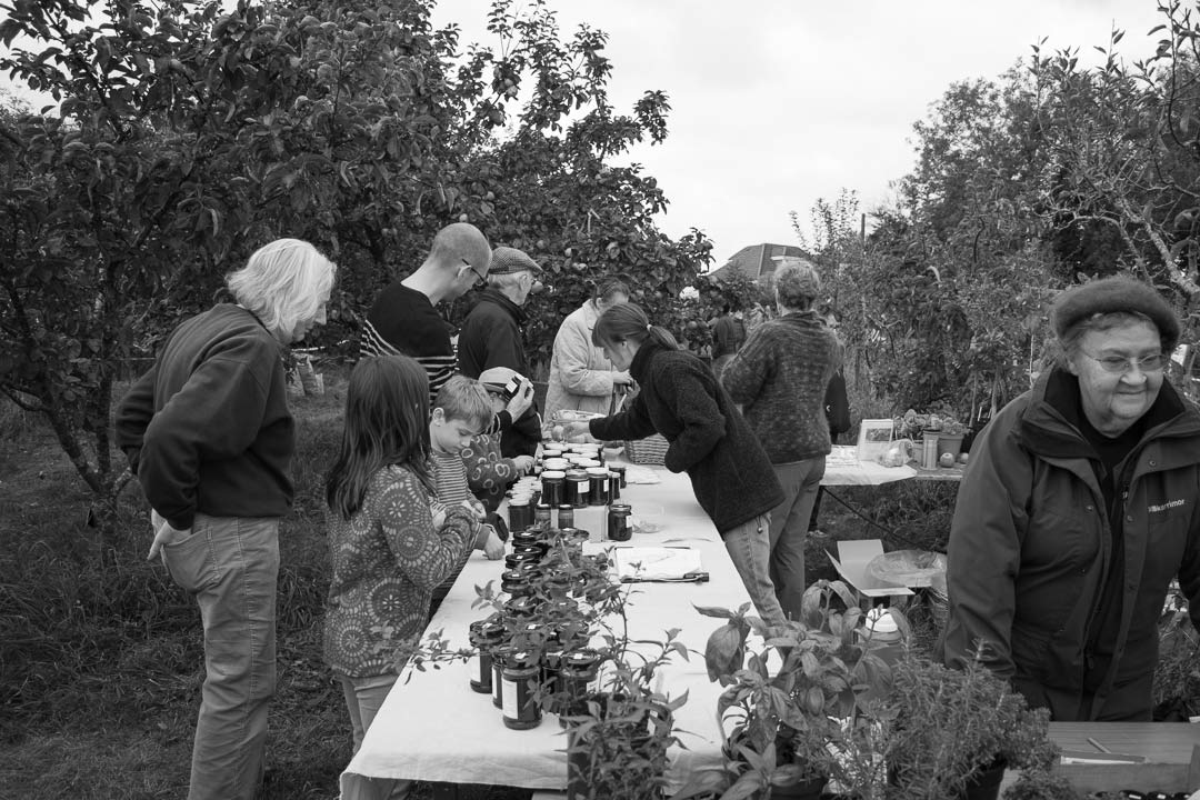 Apple day produce stall Autumn gallery header image