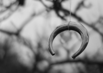 A pendant hangs in the Wassail tree 2017