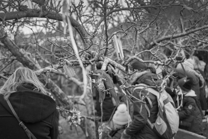 Wassail - around the tree tying ribbons