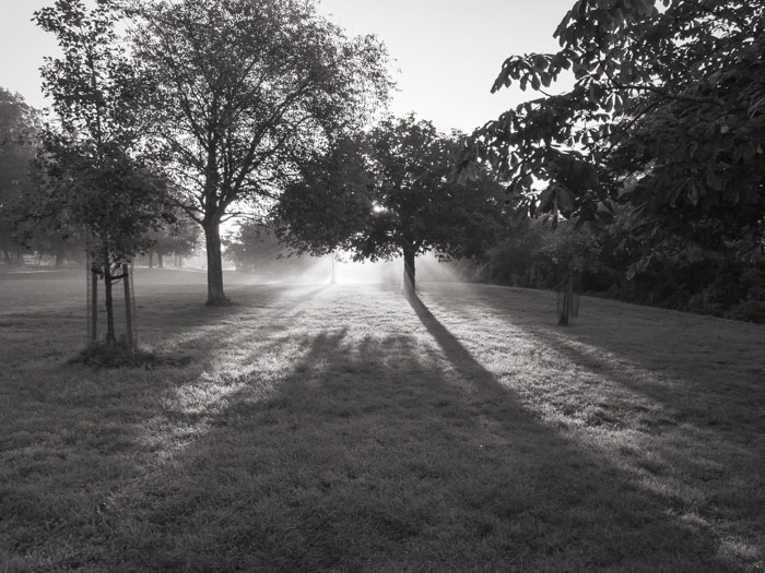 Autumn sunrise on Horfield common