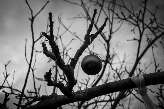 Bauble decoration on the Wassail tree - 2019