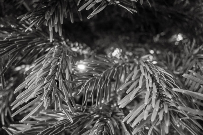 Fairy lights on the Christmas tree - 2019