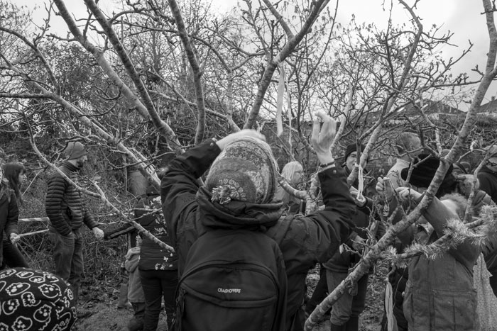 Tying ribbons on the Wassail tree - 2019