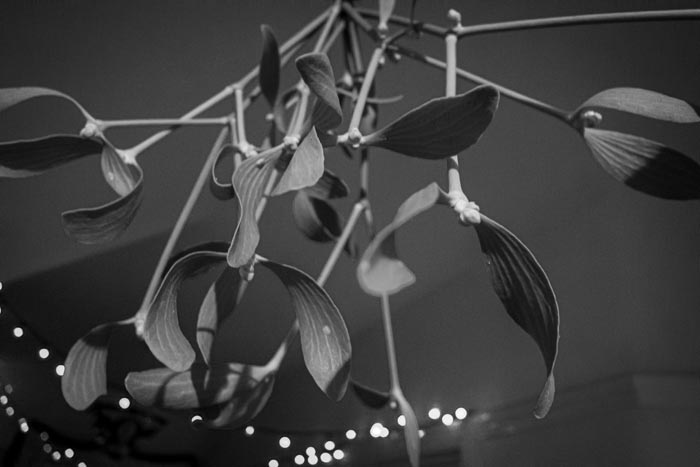 Christmas mistletoe hanging in the hall