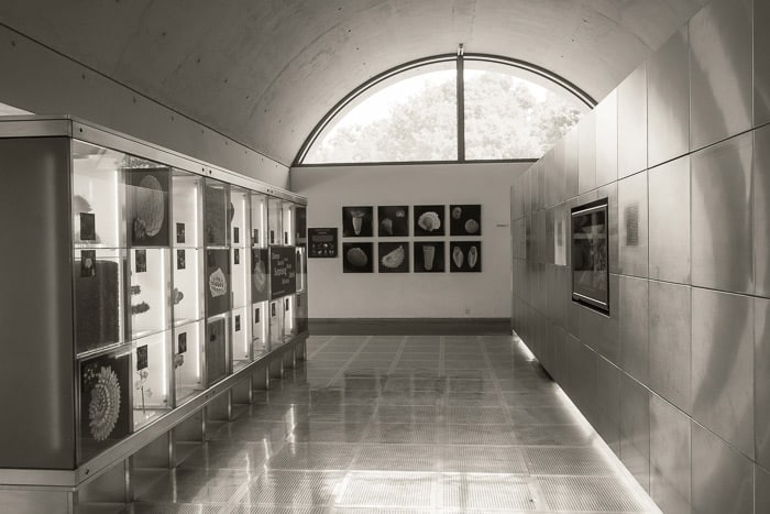 Millenium seedbank interior - Wakehurst 2022