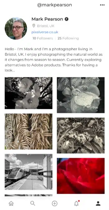 Screenshot of my Foto profile page